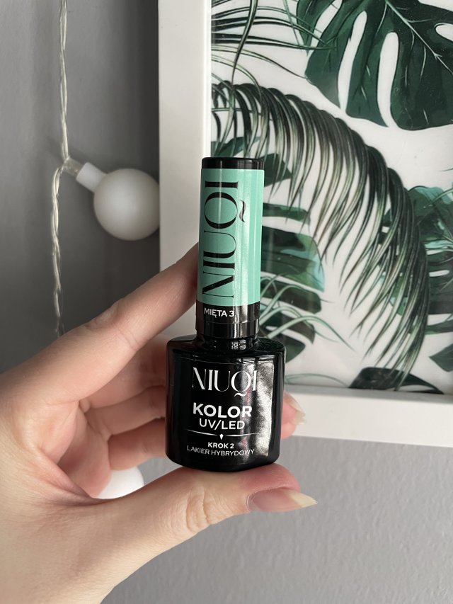 NIUQI Lakier hybrydowy, Mięta 3