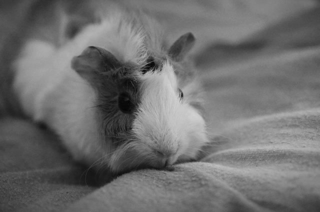 Kulturalne narzekanie na rzeczywistość! Uwaga - zawiera offtopy!