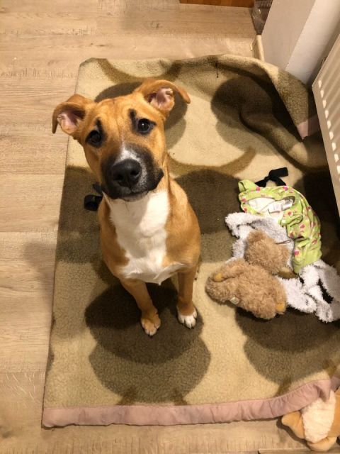 Kulturalne narzekanie na rzeczywistość! Uwaga - zawiera offtopy!