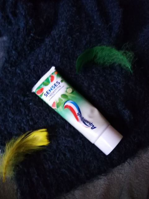 Aquafresh Senses, Refreshing Toothpaste, Watermelon, Cucumber & Mint Pasta do zębów `Arbuz, ogórek i mięta`