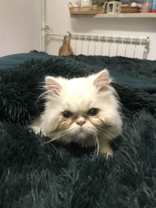 Jestem szczęśliwa bo..