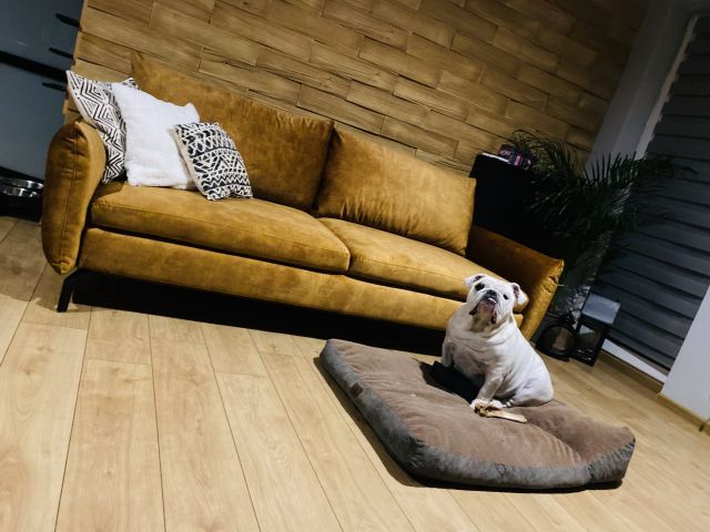 Pokażcie mi swój salon! 🏠