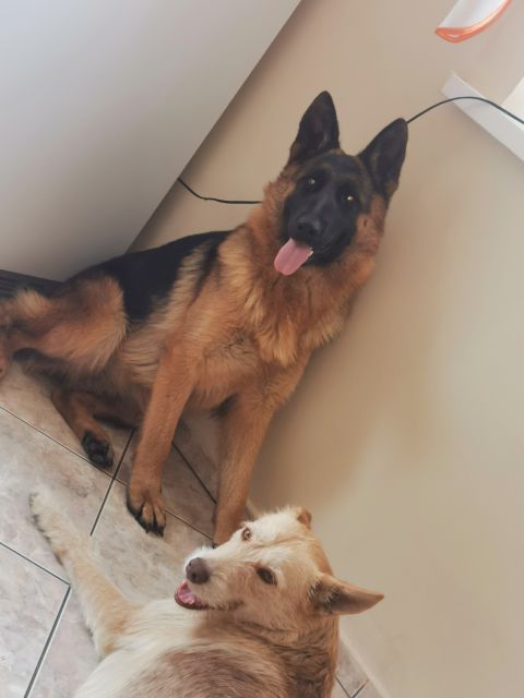 Pochwalmy się swoimi pupilkami :)