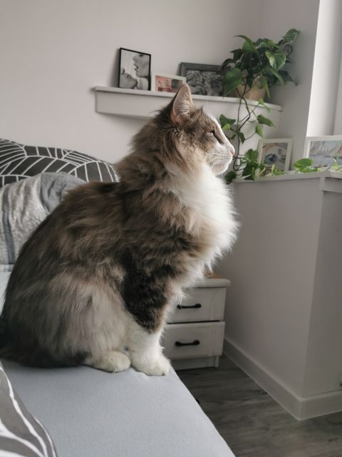 Pochwalmy się swoimi pupilkami :)