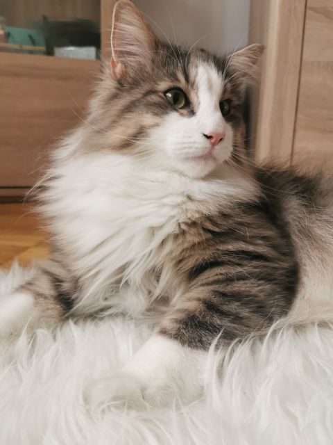 Pochwalmy się swoimi pupilkami :)