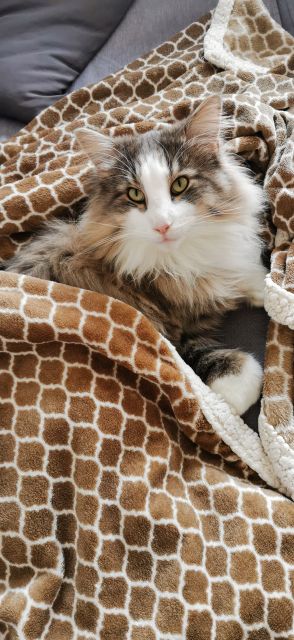 Pochwalmy się swoimi pupilkami :)