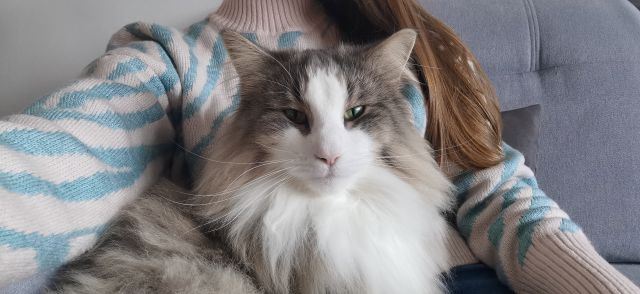 Pochwalmy się swoimi pupilkami :)