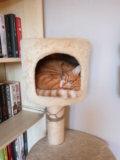 Pochwalmy się swoimi pupilkami :)