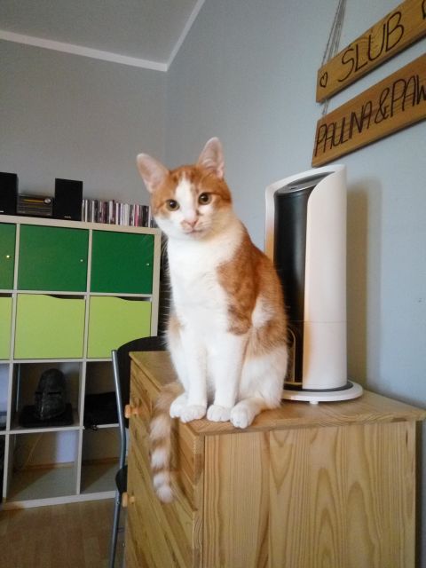 Pochwalmy się swoimi pupilkami :)