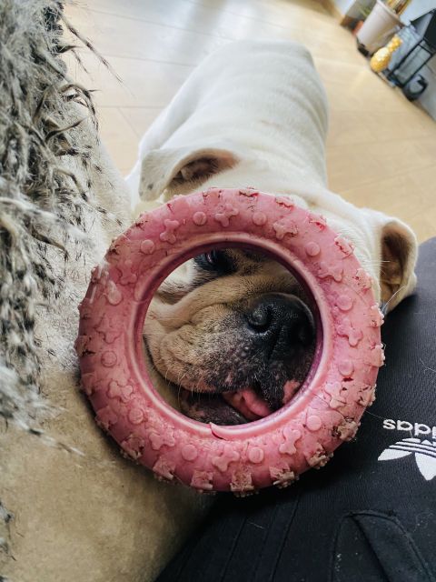 Pochwalmy się swoimi pupilkami :)