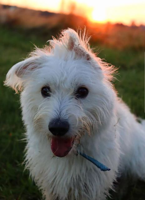 Pochwalmy się swoimi pupilkami :)