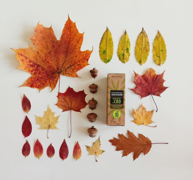 Revers Cosmetics Serum do włosów, Regenerujące, Z naturalnym olejem konopnym z CBD