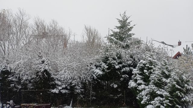 Jestem szczęśliwa bo..