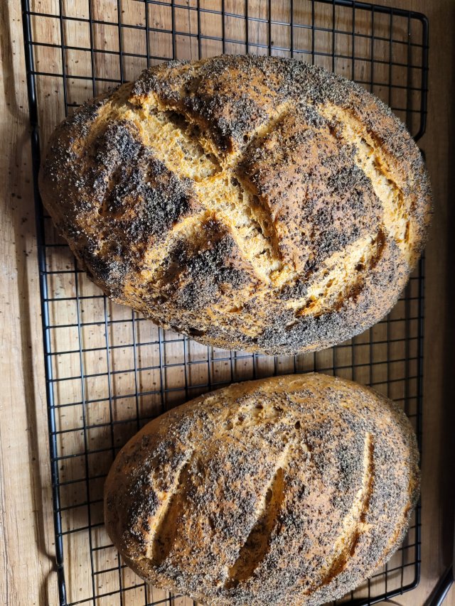 Jestem szczęśliwa bo..