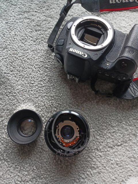 Kulturalne narzekanie na rzeczywistość! Uwaga - zawiera offtopy!