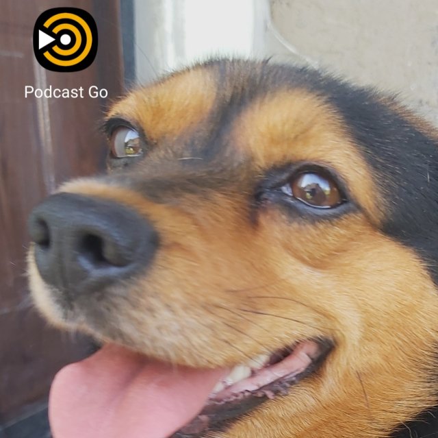 Angielski - aplikacje, podcasty, pomoce naukowe.