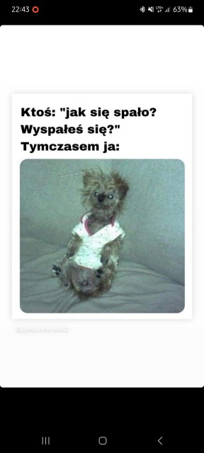 Kulturalne narzekanie na rzeczywistość! Uwaga - zawiera offtopy!