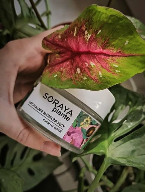 Soraya Plante, Krem do twarzy, Naturalnie nawilżający, Na dzień