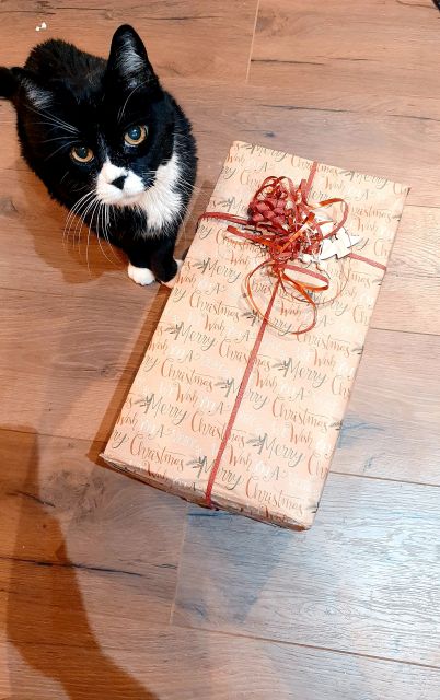 🎁 Paczuszki – Christmas Time (Edycja 2021) 