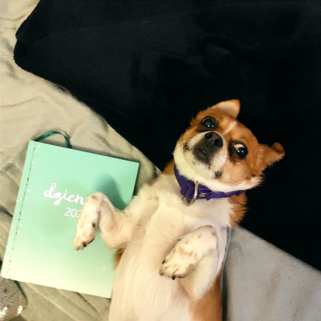 Kulturalne narzekanie na rzeczywistość! Uwaga - zawiera offtopy!