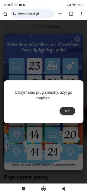 ❄️ Kalendarz Adwentowy Dresscloud 2023 ❄️