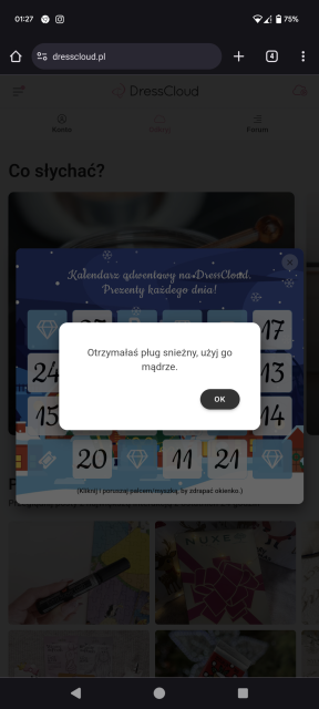 ❄️ Kalendarz Adwentowy Dresscloud 2023 ❄️