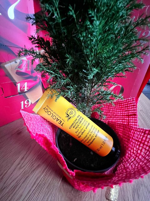 krem do twarzy Kombucha Tea Teaology.