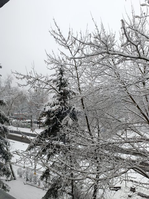 Jestem szczęśliwa bo..