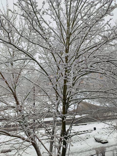 Jestem szczęśliwa bo..